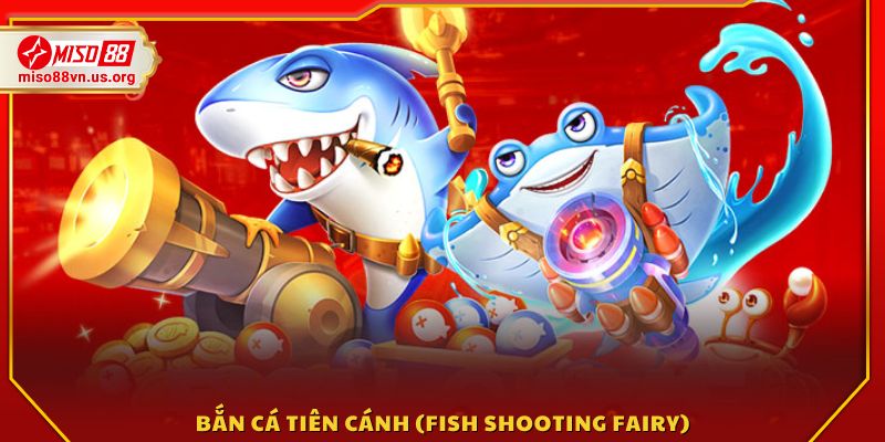 Hệ thống hoàn tiền theo tỷ lệ hấp dẫn 