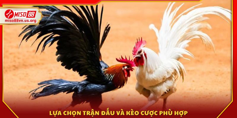 Chọn trận đấu mong muốn và xác định loại kèo 