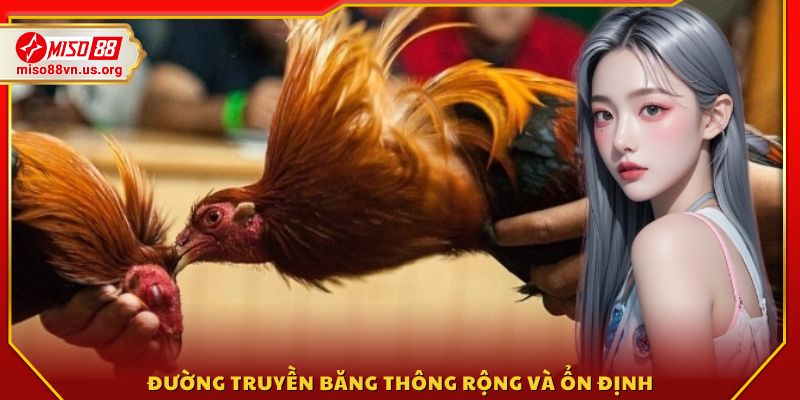 Ứng dụng công nghệ truyền phát tiên tiến 