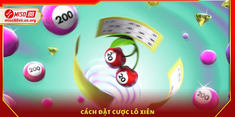 Quy trình đặt cược từng bước 