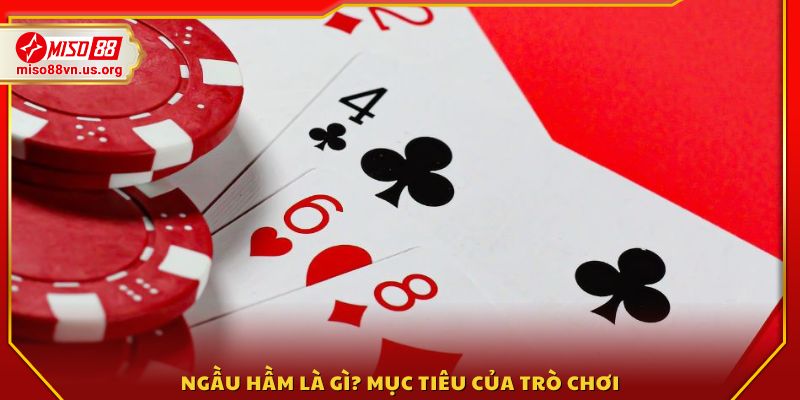 Ngầu hầm là gì? Giới thiệu khái niệm và mục tiêu