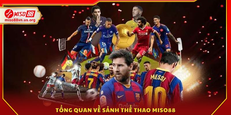 Khái quát về sảnh thể thao Miso88