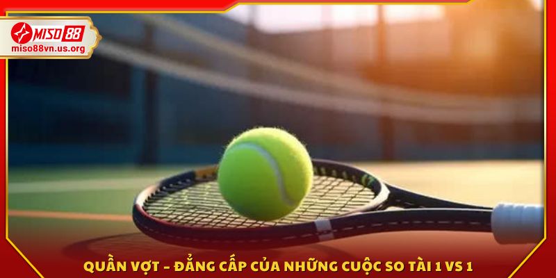 Quần vợt – Thử thách tốc độ và chiến thuật 