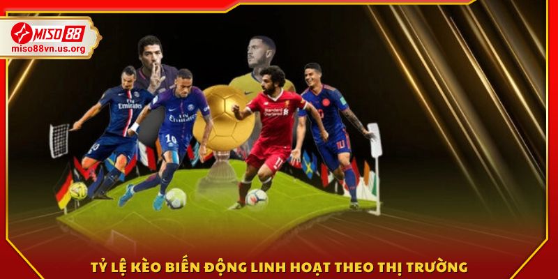 Mức kèo thay đổi liên tục phù hợp với biến động thị trường